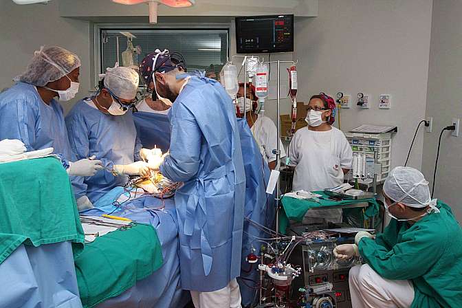 Leia mais sobre o artigo Congelamento permite conservar órgãos para transplante por mais tempo