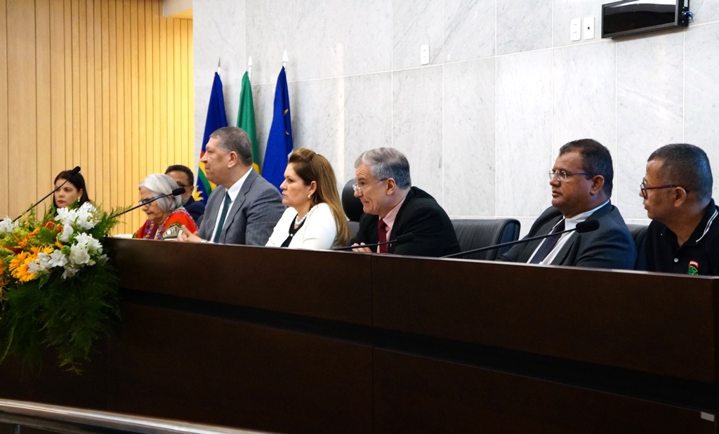 Leia mais sobre o artigo Simepe participa de audiência pública para reforma do PNAB