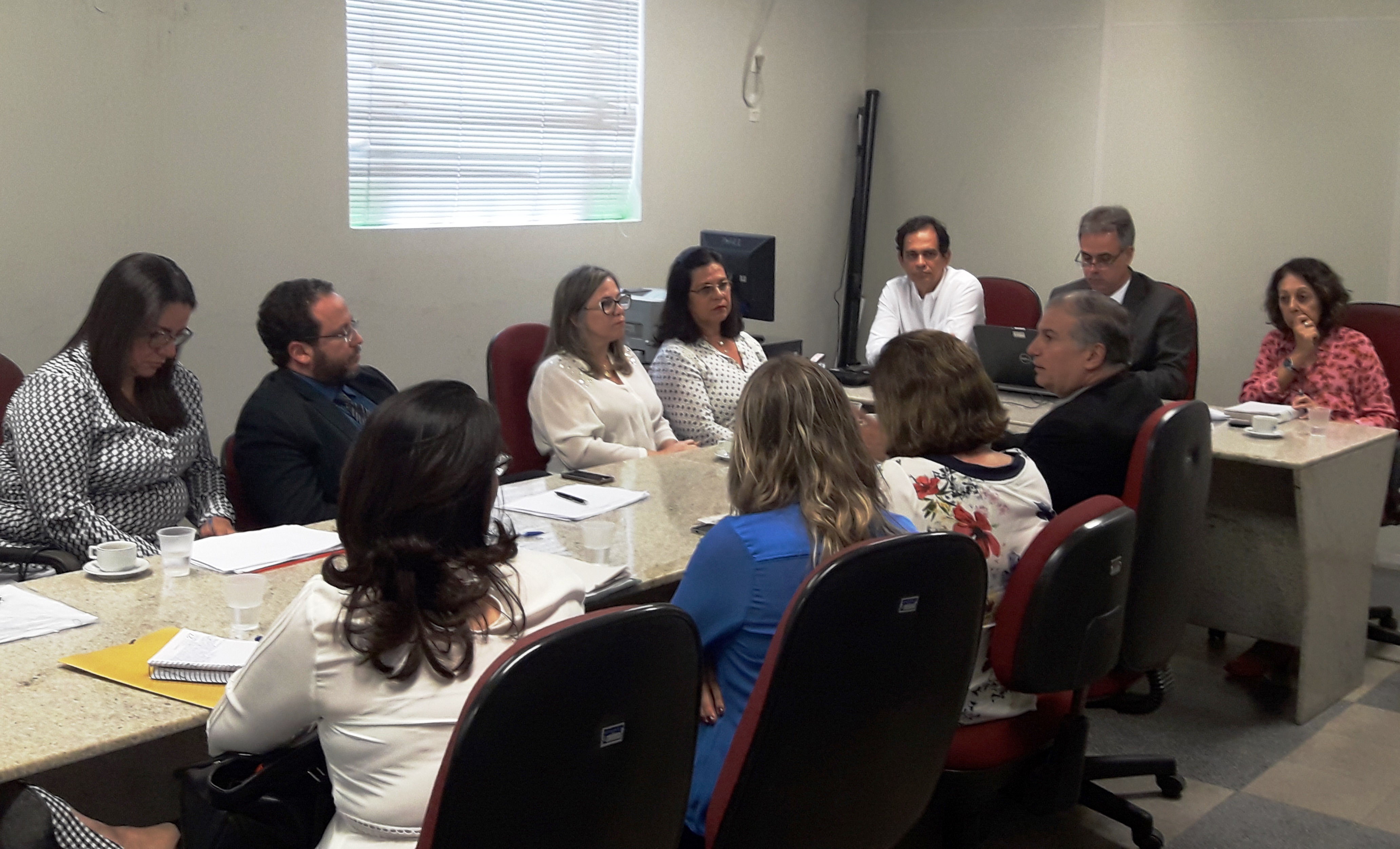 Leia mais sobre o artigo Promotores, médicos e gestores debatem crise da assistência obstétrica no Estado