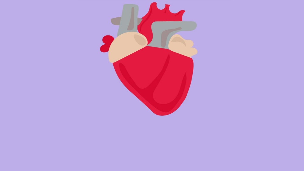 Leia mais sobre o artigo 50 anos após primeira cirurgia, 72% dos pacientes que recebem novo coração vivem ao menos 5 anos