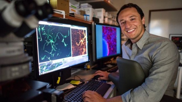 Leia mais sobre o artigo Biólogo brasileiro aposta em medicamento contra hepatite C para curar o Zika vírus