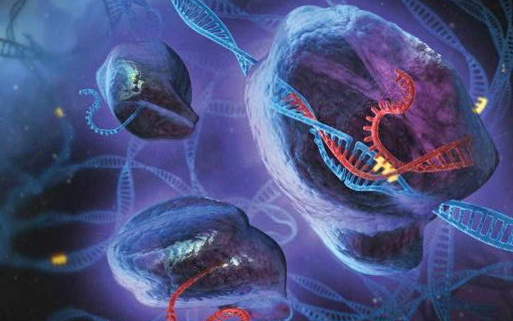 Leia mais sobre o artigo Edição genética cria mosquitos resistentes à malária e encontra alvo para tratamento de leucemia