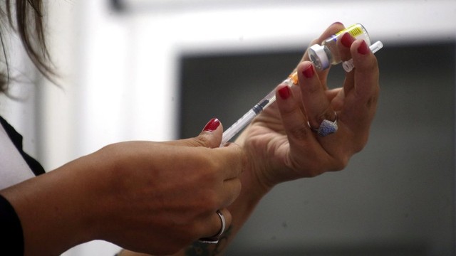 Leia mais sobre o artigo Brasil tem 328 mortos por febre amarela, diz ministério