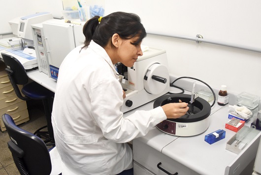 Leia mais sobre o artigo Fiocruz investe em pesquisas de medicamentos para malária