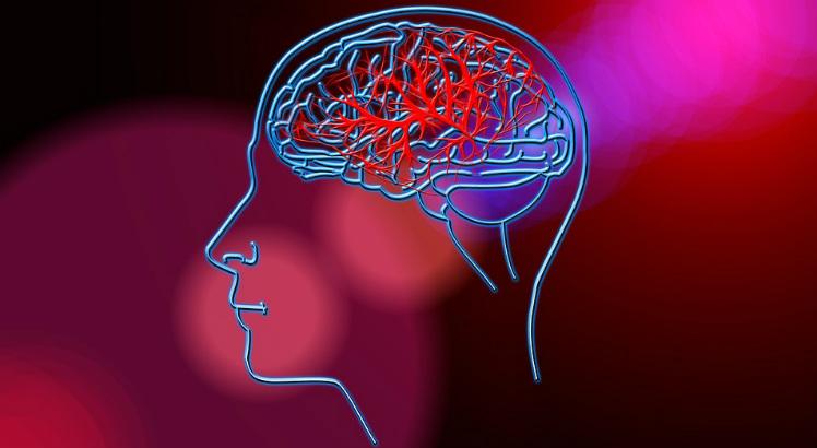 Leia mais sobre o artigo Doença de Parkinson pode ter origem no intestino; saiba mais sobre a doença