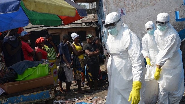 Leia mais sobre o artigo Por que o Ebola continua voltando