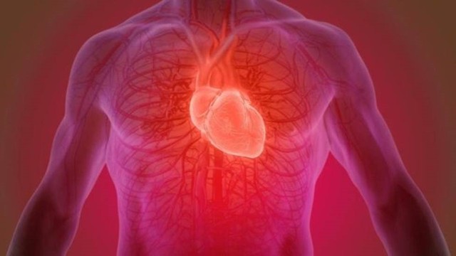 Leia mais sobre o artigo Cientistas criam curativo que pulsa para tratar sequelas de corações infartados
