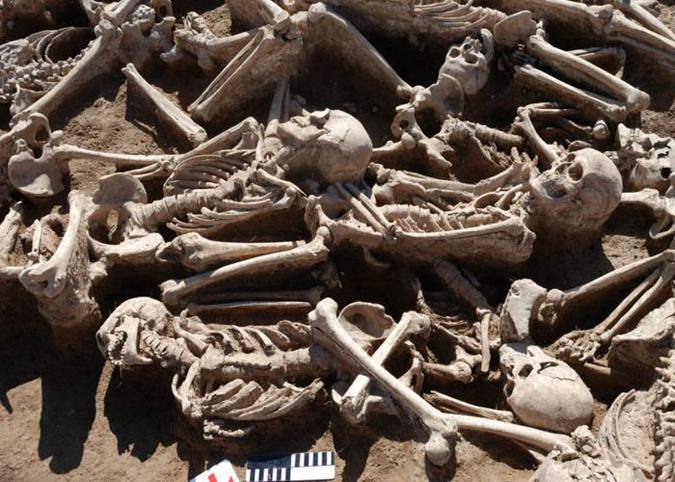 Leia mais sobre o artigo Vírus da hepatite B afeta os humanos há mais de 7 mil anos