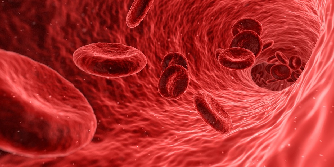 Leia mais sobre o artigo Cientistas criam método que identifica maior risco para dengue grave