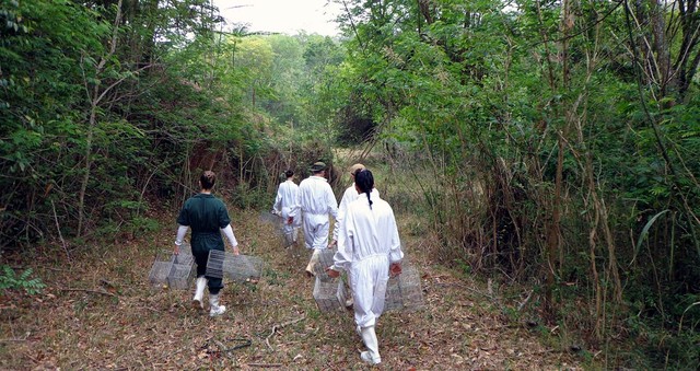 Leia mais sobre o artigo Estudo da Unicamp ‘mapeia’ parasitas da leishmaniose e doença de Chagas em distritos de Campinas; Saúde monitora