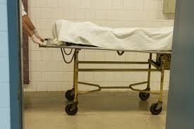 Leia mais sobre o artigo O caminho do cadáver