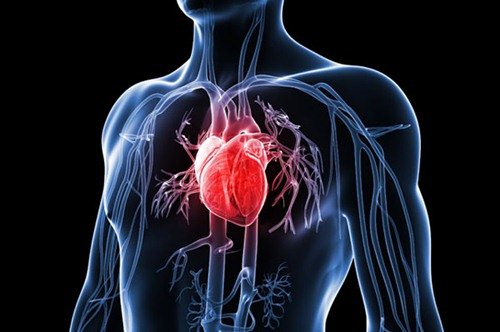 Leia mais sobre o artigo A cada 8 minutos uma pessoa morre de doença cardiovascular