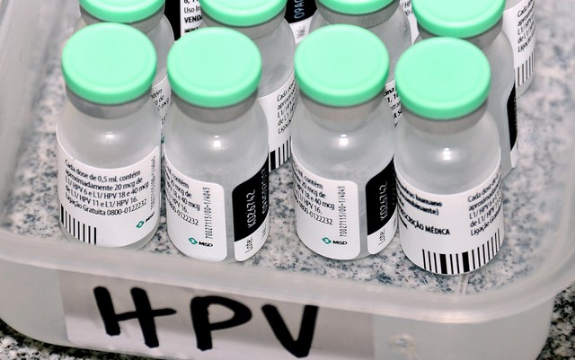 Leia mais sobre o artigo Austrália pode eliminar incidência de câncer de colo de útero até 2028