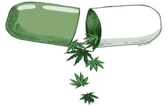 Leia mais sobre o artigo Secretaria de Saúde vai fornecer medicamentos à base de canabidiol