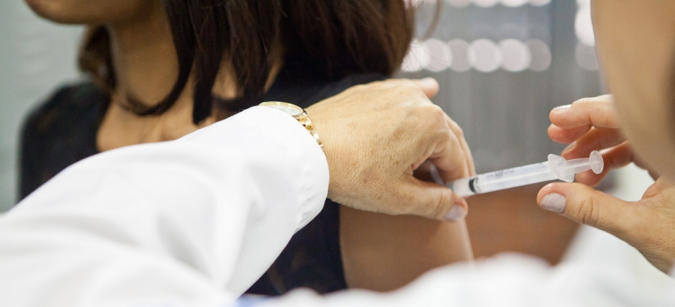 Leia mais sobre o artigo Ministério faz alerta para imunização contra febre amarela