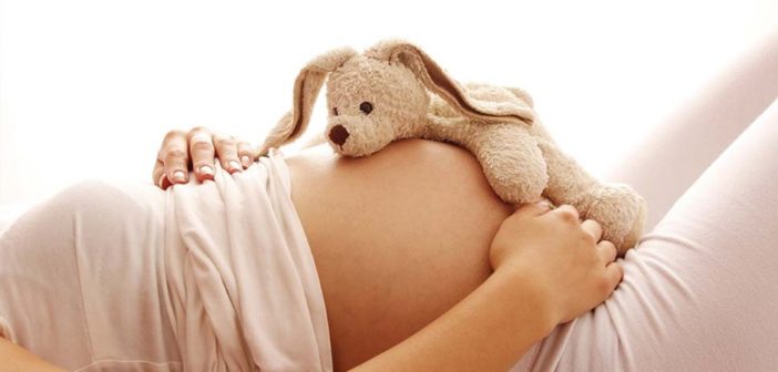 Leia mais sobre o artigo Sopape promove I Fórum de Prevenção da Gravidez na Adolescência