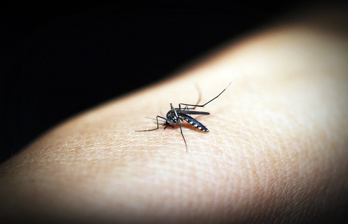 Leia mais sobre o artigo Casos de dengue crescem 224%; doença causou 62 mortes