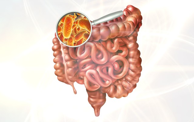 Leia mais sobre o artigo Pesquisadores brasileiros identificam bactérias que facilitam diagnóstico de câncer intestinal