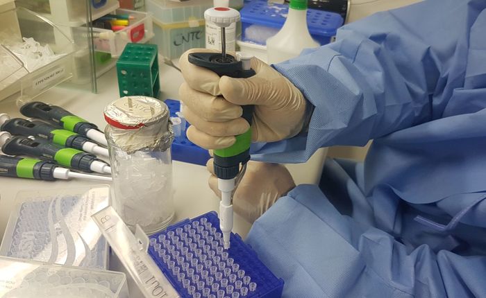 Leia mais sobre o artigo Fiocruz desenvolve teste para Zika mais barato e rápido