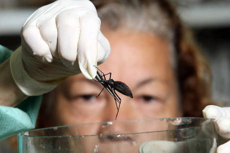 Leia mais sobre o artigo Após quase 110 anos de negligência, OMS aprova Dia Mundial de Chagas