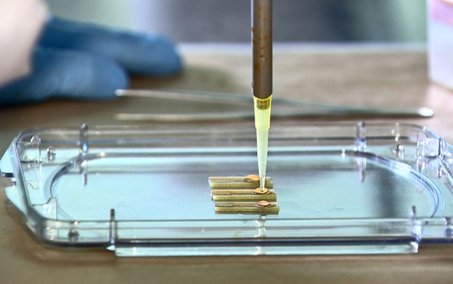 Leia mais sobre o artigo Pesquisadores criam sensor para diagnóstico de zika com gota de urina e resultado na hora em Campinas