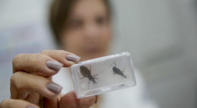 Leia mais sobre o artigo Doença de Chagas: sobe para 33 número de pacientes em tratamento expostos a surto em PE