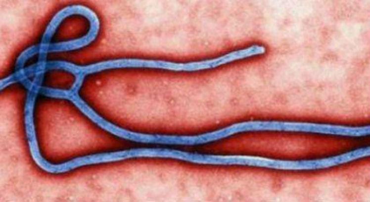 Leia mais sobre o artigo Dois medicamentos contra ebola aumentam taxa de sobrevivência