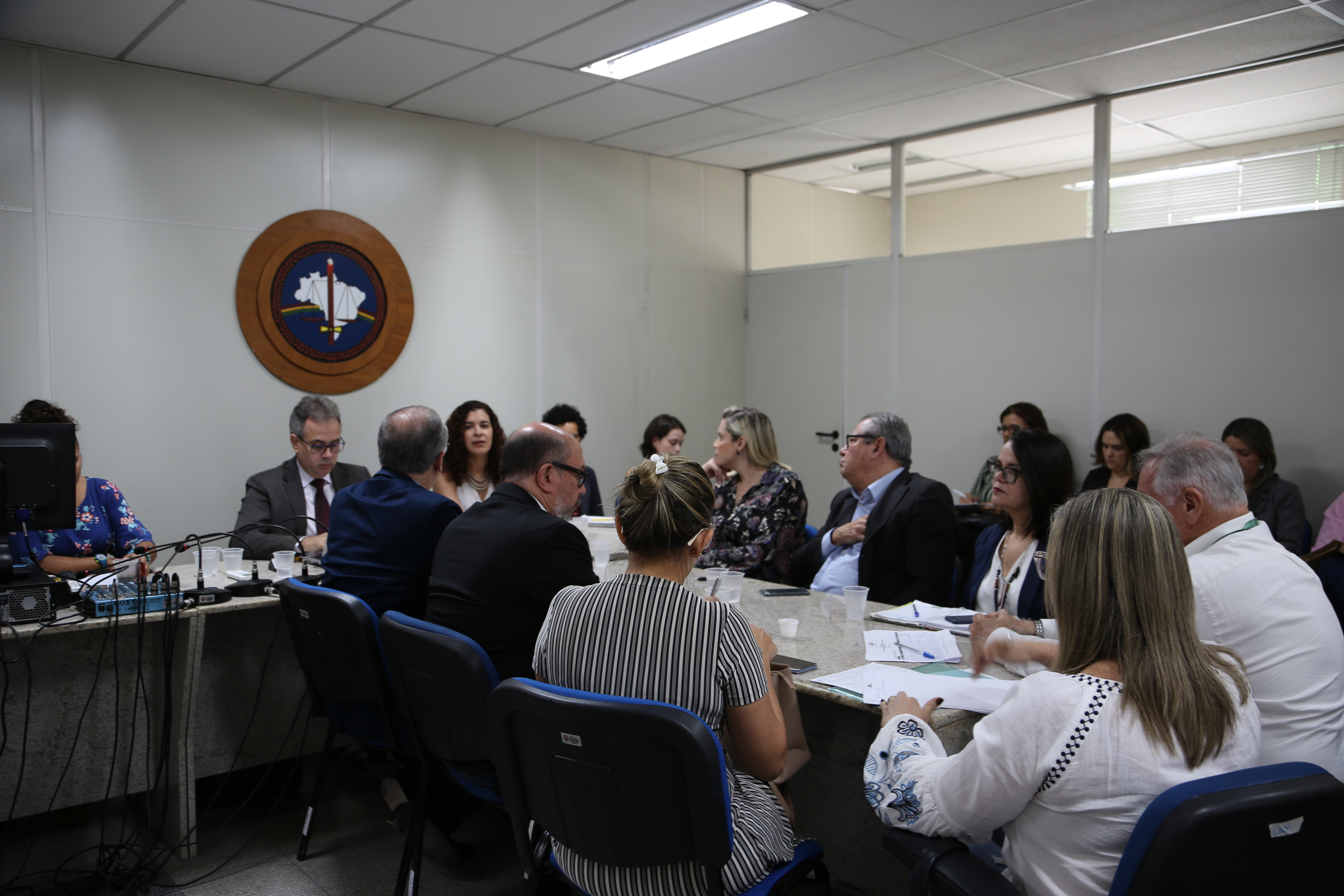 Leia mais sobre o artigo Entidades médicas dão continuidade às discussões com a CAOP-Saúde para melhorias na rede materno infantil