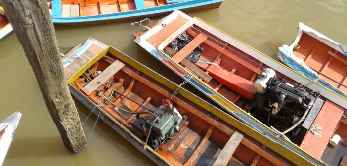 Leia mais sobre o artigo Pará registra oitavo caso de escalpelamento este ano