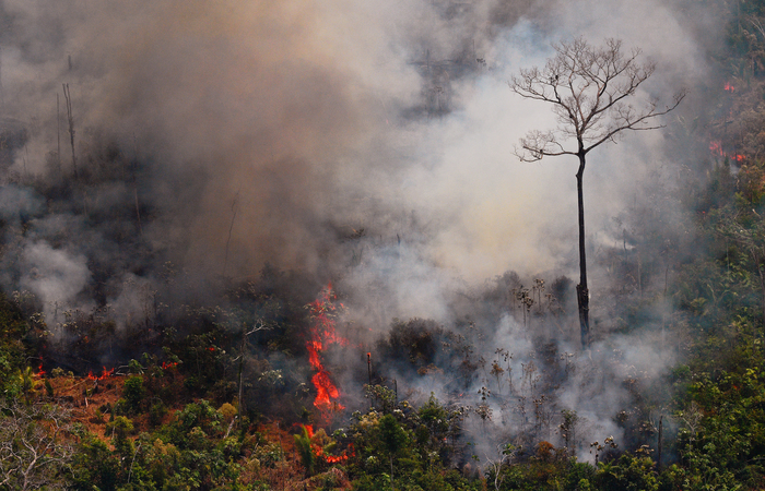 Leia mais sobre o artigo Incêndios na Amazônia afetam crianças e custam R$ 1,5 milhão ao SUS
