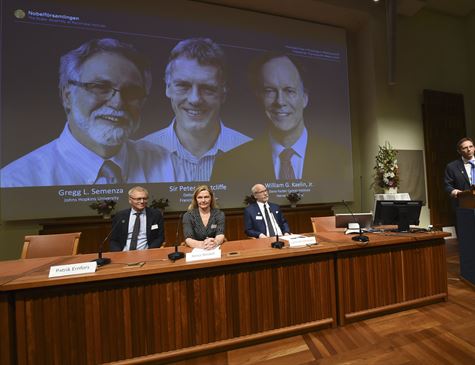 Leia mais sobre o artigo Nobel de Medicina premia trio por pesquisas sobre a adaptação das células ao oxigênio