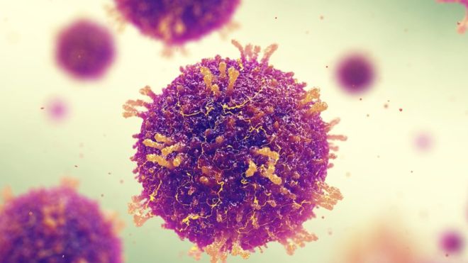 Leia mais sobre o artigo Sarampo faz corpo ‘esquecer’ como combater infecções, dizem cientistas