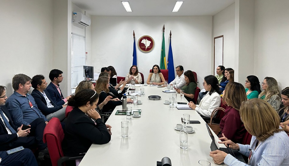 Leia mais sobre o artigo Entidades médicas discutem no MPPE os problemas nas Maternidades de Alto Risco na Rede Estadual de Saúde